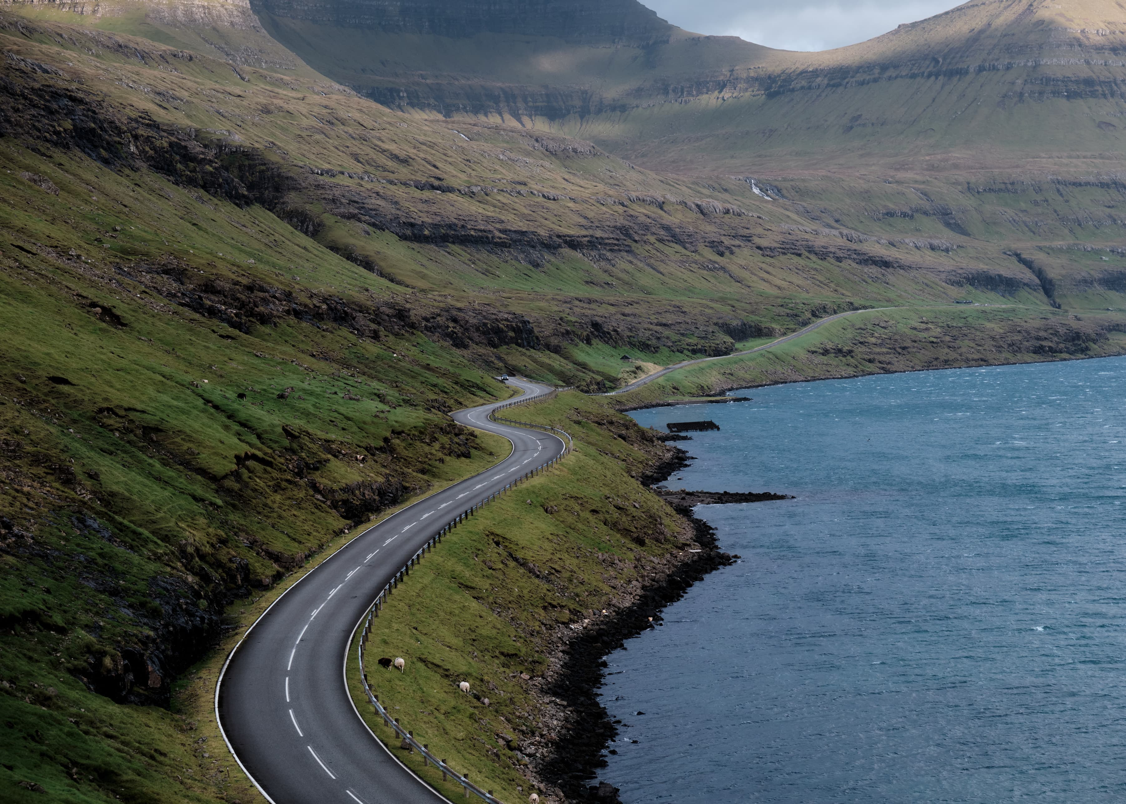 Serpentine fjord road with sheep, layered mountains