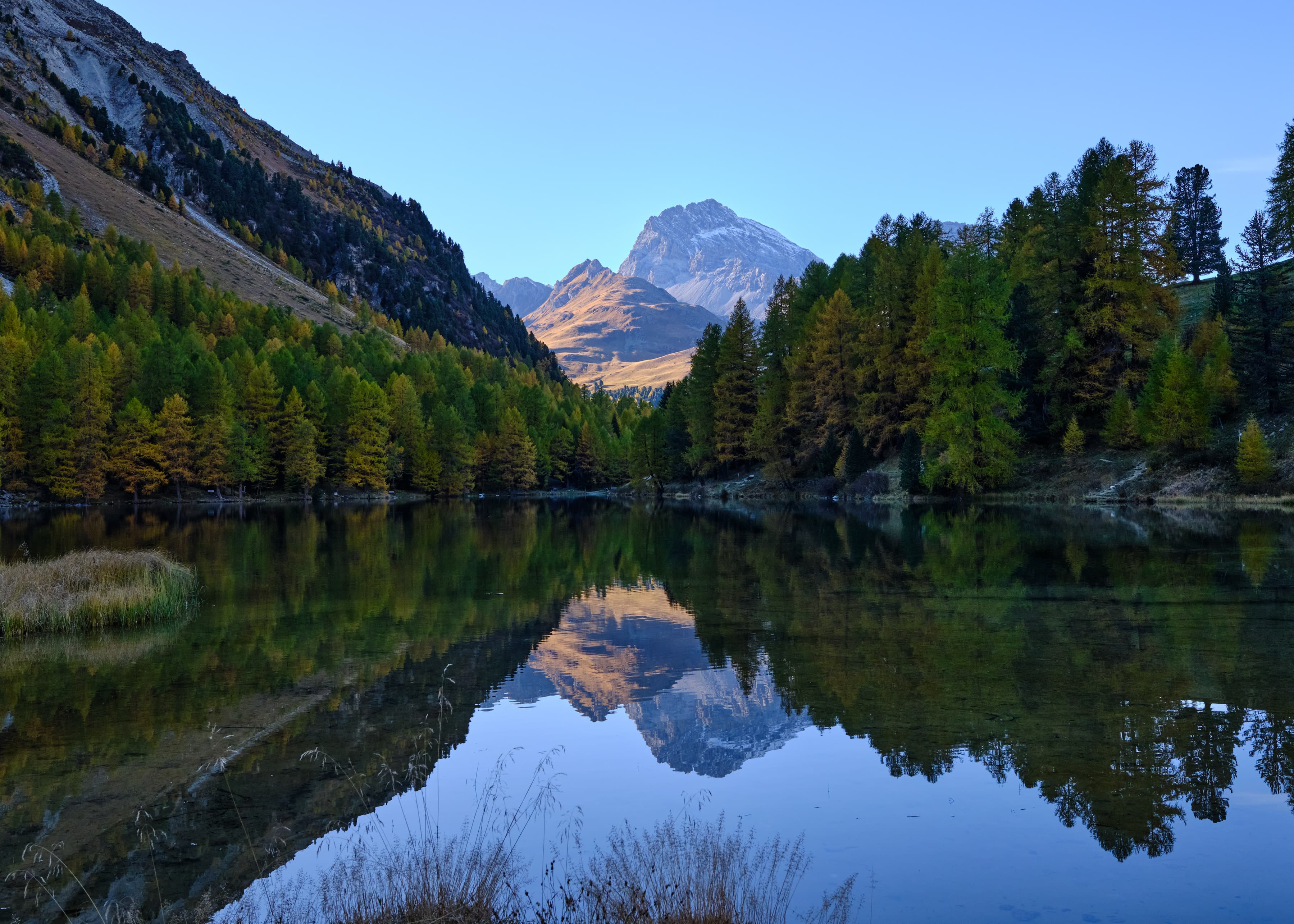 Lai da Palpuogna reflecting autumn larches and peak
