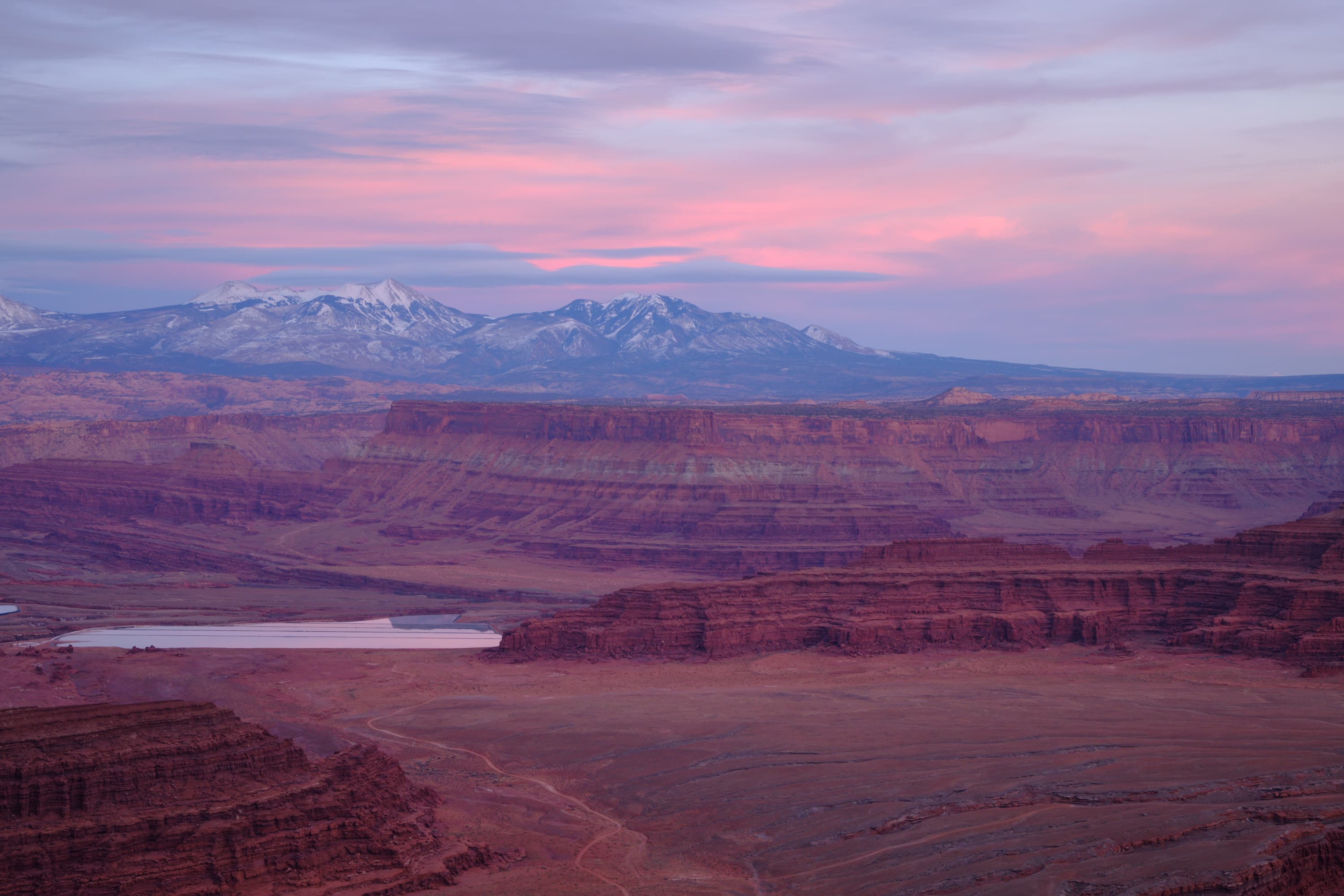 Canyonlands at dawn, pink-purple sky, La Sal Mountains