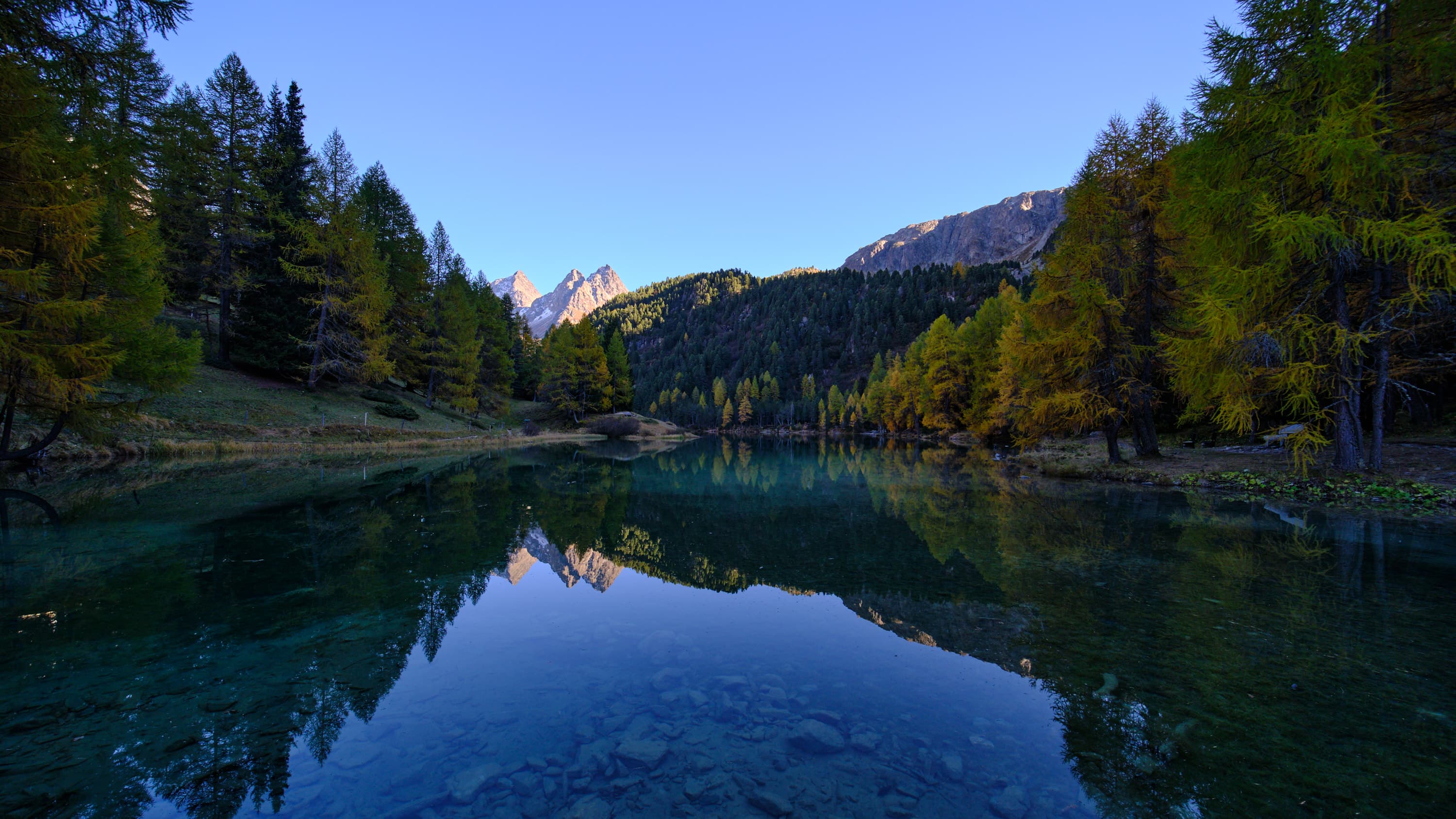 Engadin dawn lake, turquoise reflection, larch peaks
